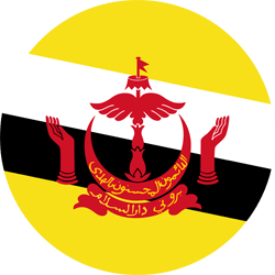 Drapeau du Brunei - Rond