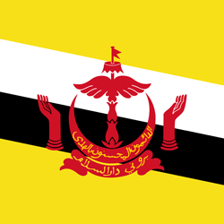 Vlag van Brunei - Vierkant