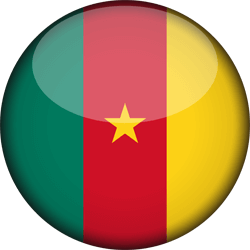 Drapeau du Cameroun - 3D Rond