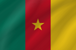 Drapeau du Cameroun - Vague