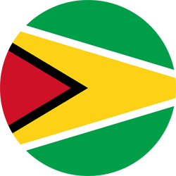 Flagge von Guyana - Kreis