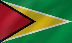 Vlag van Guyana - Golf