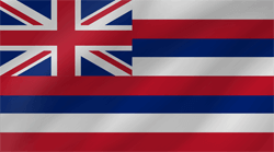 Flagge von Hawaii - Welle