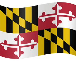 Drapeau du Maryland - Ondulation