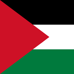 Palestine flag vector