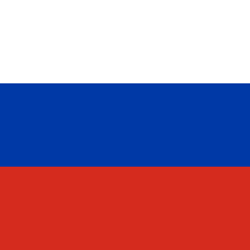 Russia flag vector