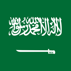 Saudi Arabia flag vector