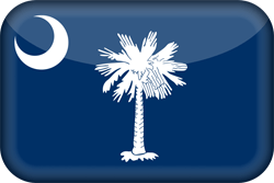 Vlag van South Carolina - 3D