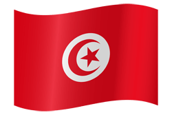 Drapeau de la Tunisie - Ondulation