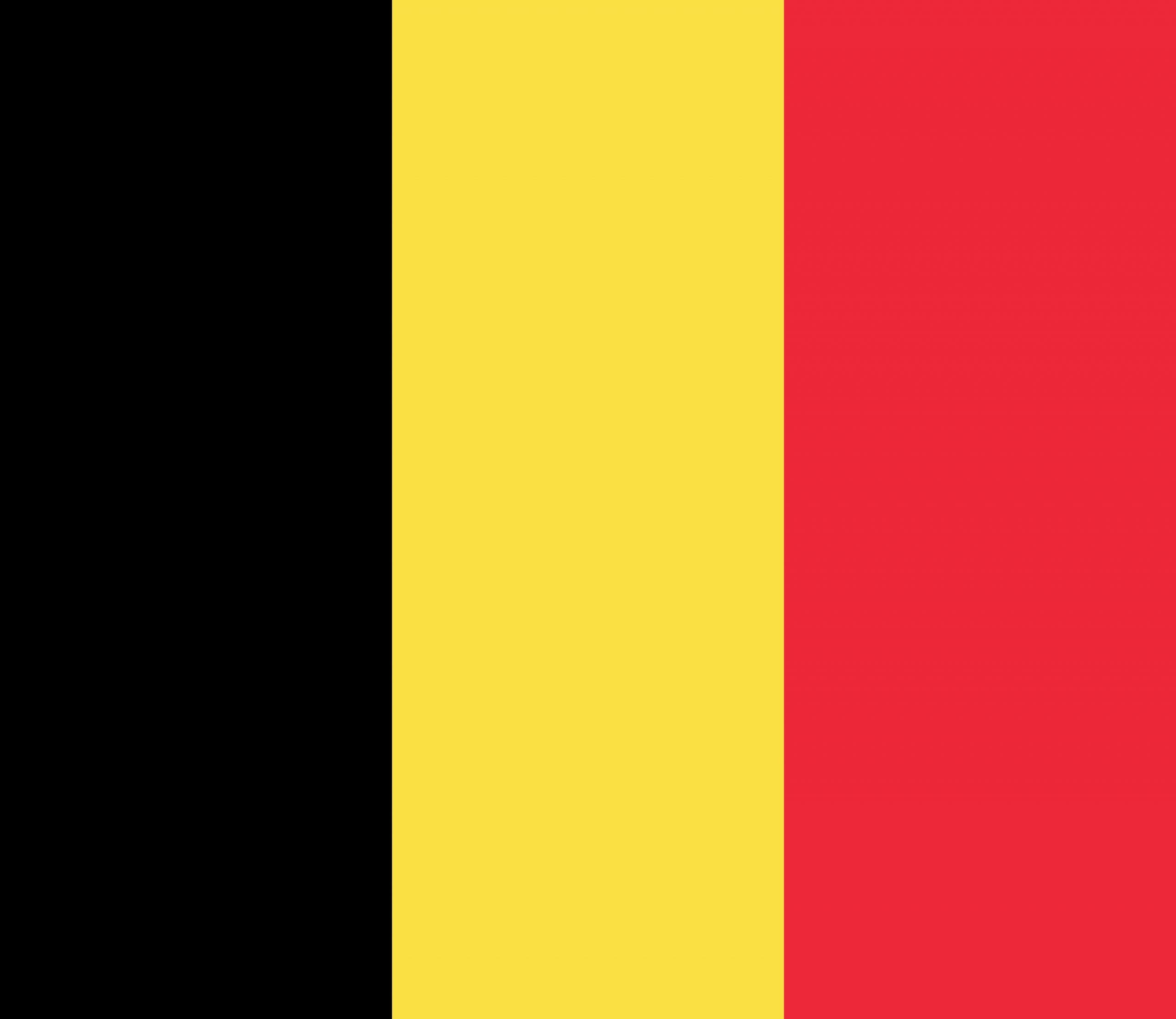 Vlag van België